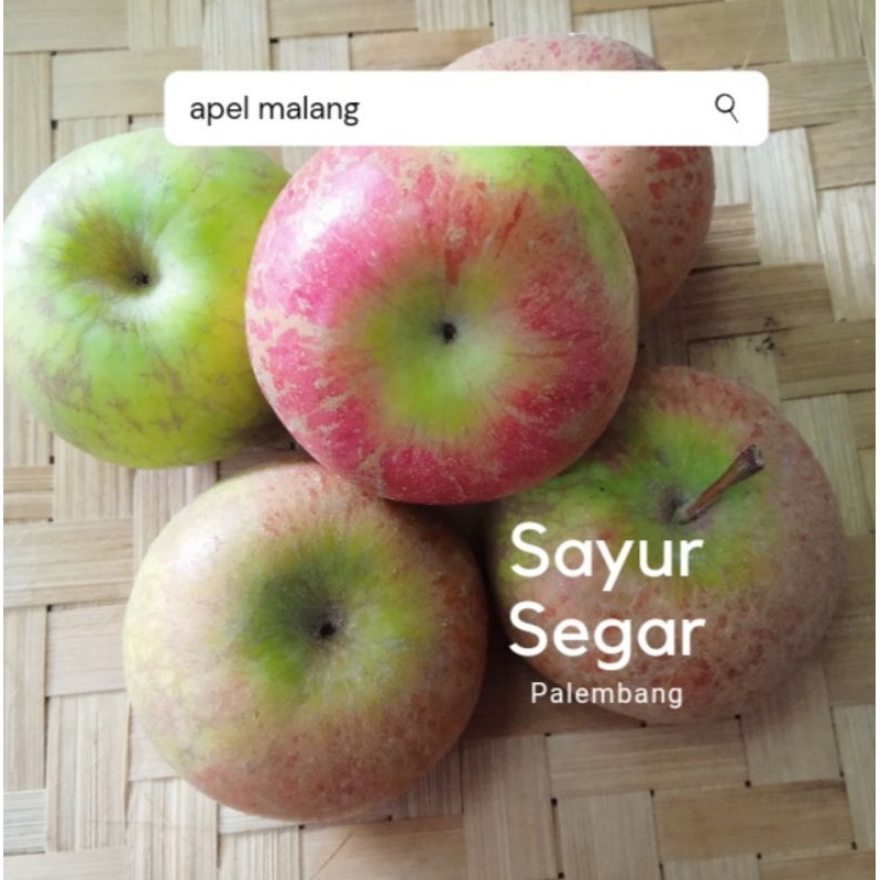 

Apel Malang per 500 gr Sayur Segar Palembang