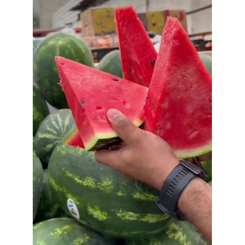 

SEMANGKA NON BIJI BERAT 5 KG