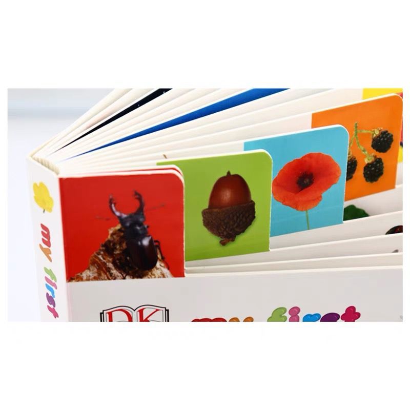 

RB DK Books My First Book - Board Book - First Words Book