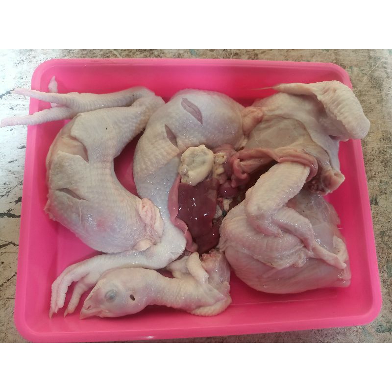 

Ayam Segar potongan 4