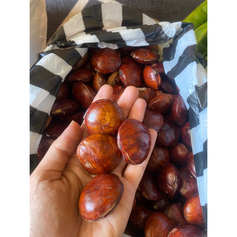 

JENGKOL LOKAL WONOGIRI 1 KG