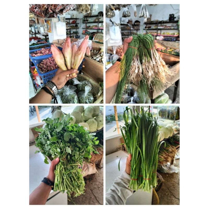 

kecombrang / lengkio / selada air / daun kucai