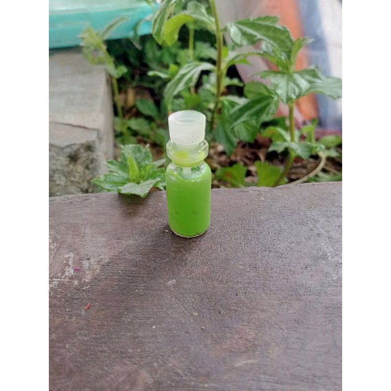 

cat lukis, kanvas, kain, sterofoam, warna hijau, akrilik