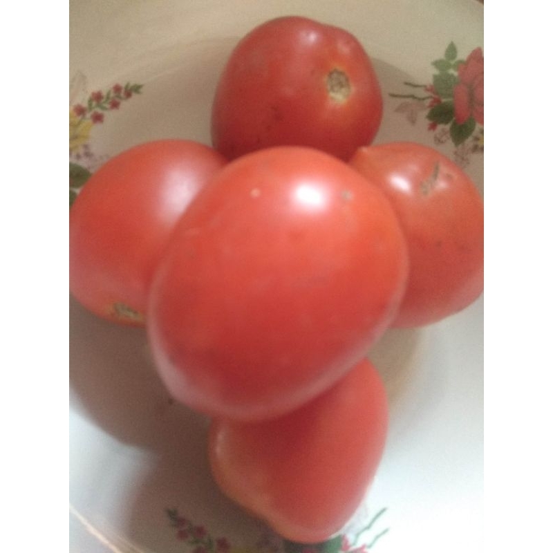 

tomat segar 500g