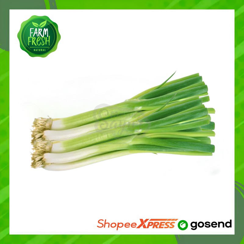 

KIRIM INSTAN Daun Bawang Prei / Prai / Pray