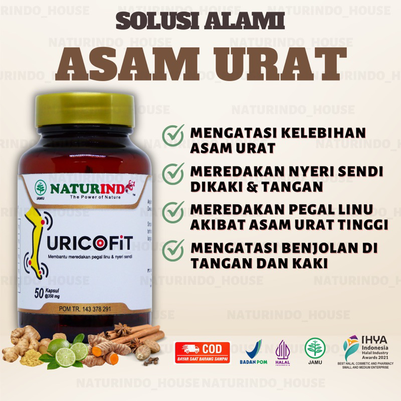 Obat Asam Urat Paling Ampuh Herbal Penurun Kadar Purin Flu Tulang Ampuh Atasi Kaki Tangan Sering Kes