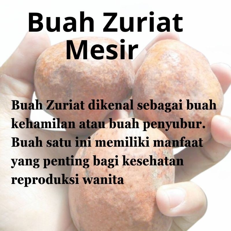 

Buah Zuriat 1 Kg Buah Doum Original Promil Zuriat Grade A