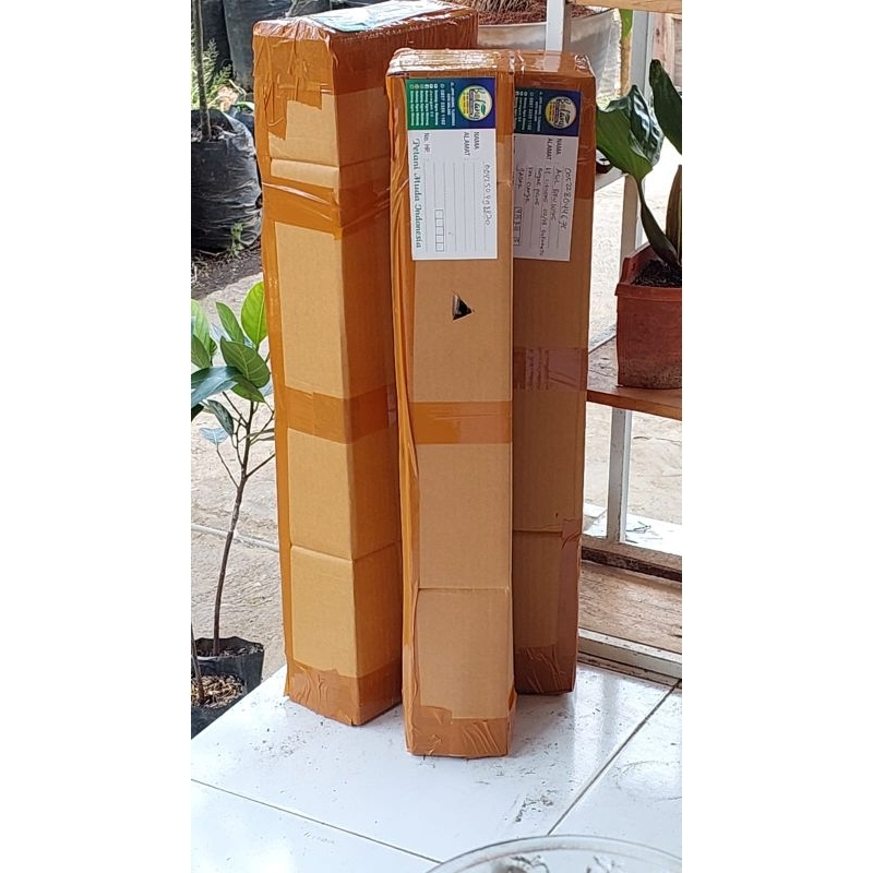 

PACKING KARDUS