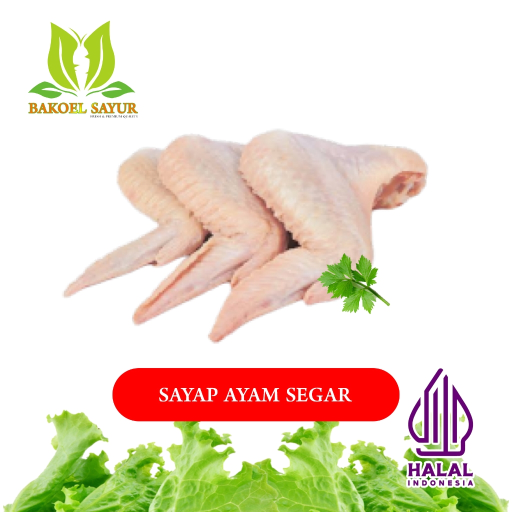 

SAYAP AYAM SEGAR / CHICKEN WINGS FRESH 500 gr