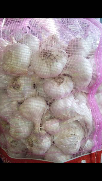 

Best Product Bawang Putih Kating BERSIH 1/2 kg