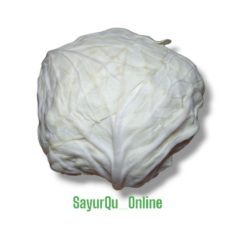 

Kol/Kubis Sayuran 250g