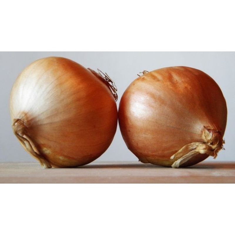 

bawang bombay