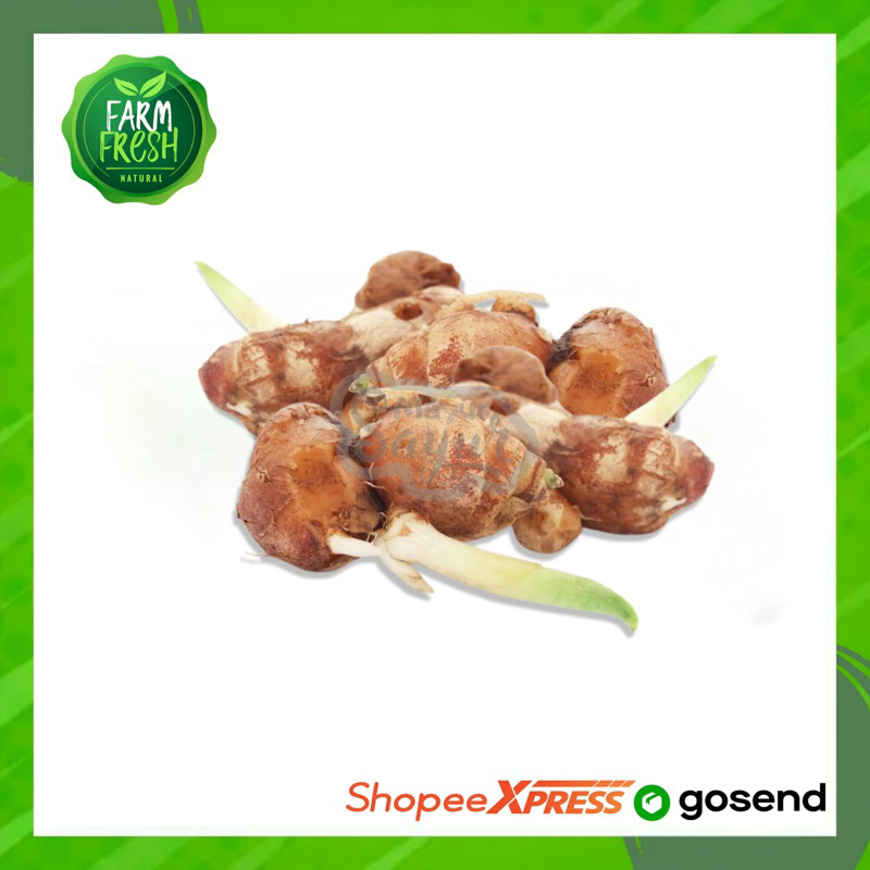 

KIRIM INSTAN Rempah Kencur / Tipakan / Per Pack / Bumbu Dapur