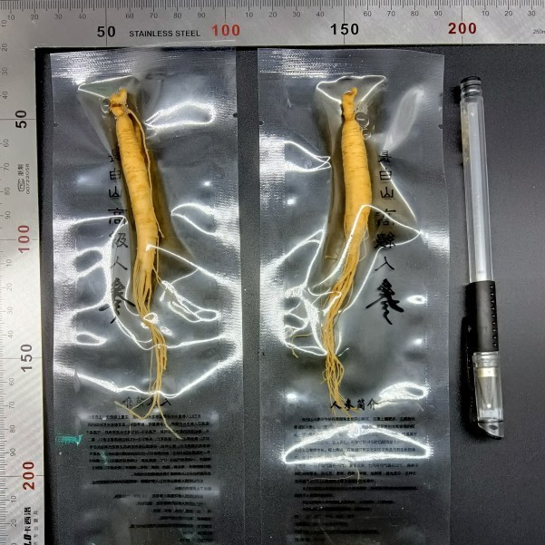 

(COD) Fresh Ginseng root vacuum pack / Akar Ginseng Segar Kemasan Vakum 20 gram
