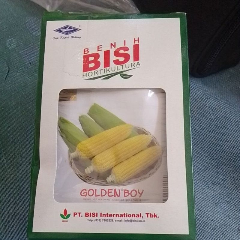 

JAGUNG MANIS GOLDEN BOY HOME GARDEN