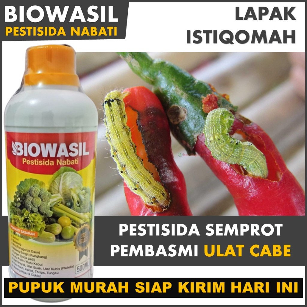 Pupuk Semprot BIOWASIL Obat Anti Hama ULAT CABE Paling Bagus - Pestisida Tanaman Cabe Semprot Anti H