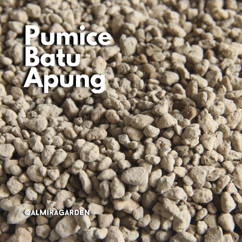 Media Tanam Kaktus Sukulen Pumice Batu Apung Aquascape Almira Garden