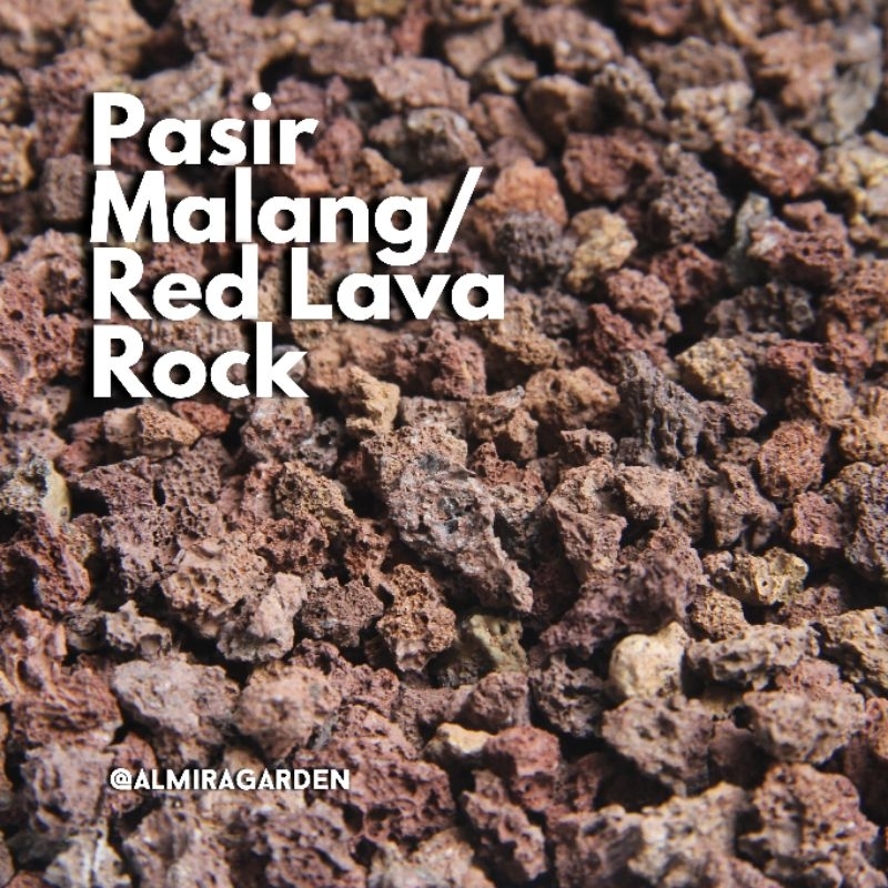 Pasir Malang Red Lava Rock Almira Garden