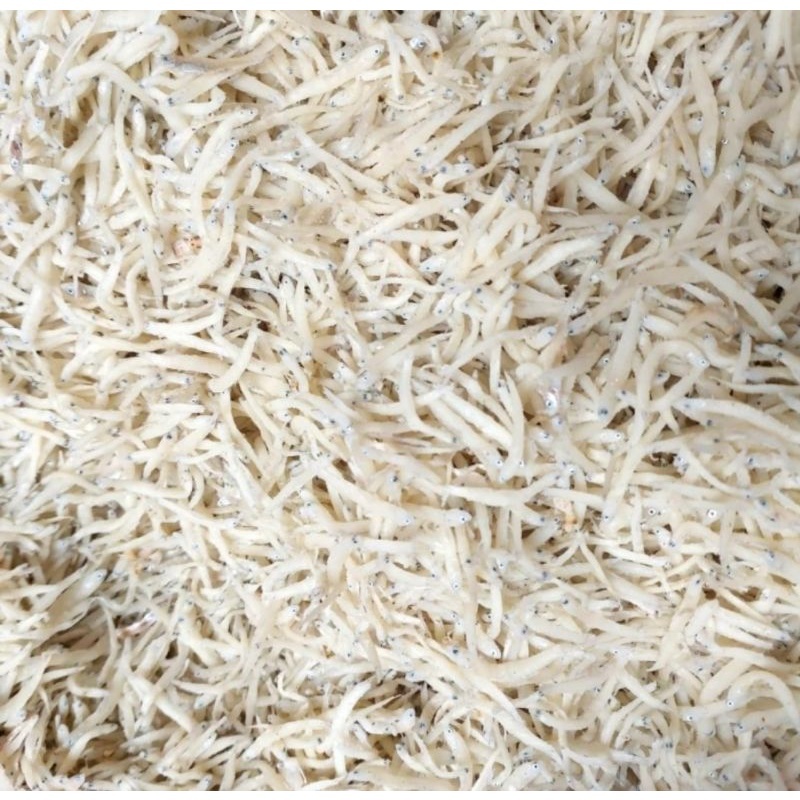 HS Teri Medan / Ikan Teri Nasi Medan / Teri putih Best Seller