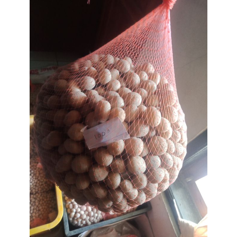 BIBIT / BENIH KENTANG G-0 JENIS GRANOLA (L)