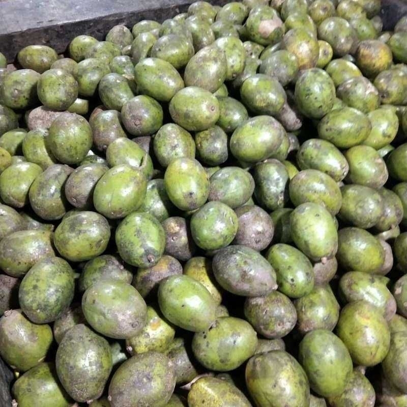 

Buah Kedondong | 500 gram fresh