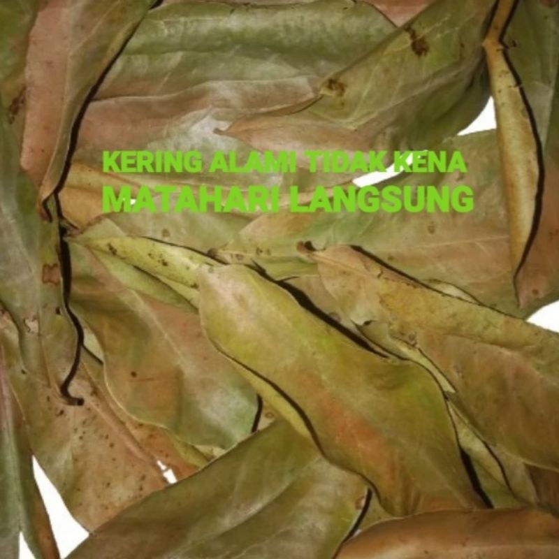 

Daun Sirsak Kering Organik Herbal Sirsat Pengering Alami