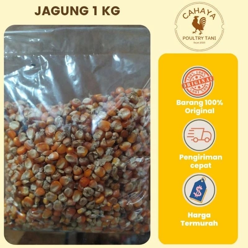 Pakan Ayam JAGUNG 1 Kg