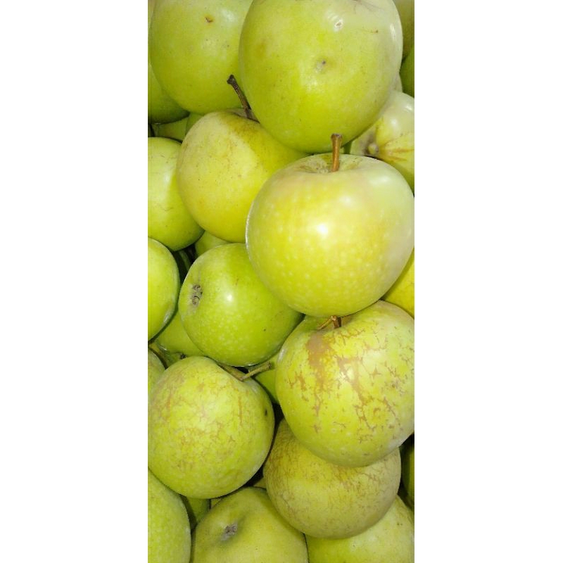 

BUAH APEL MANALAGI HIJAU