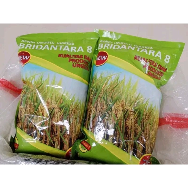 benih padi BRIDANTARA 8 hibrida (1kg)