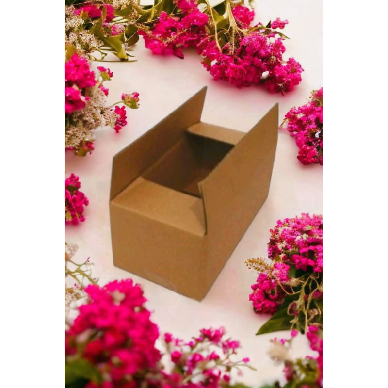 

Box Packing polos ukuran 25×15×10cm