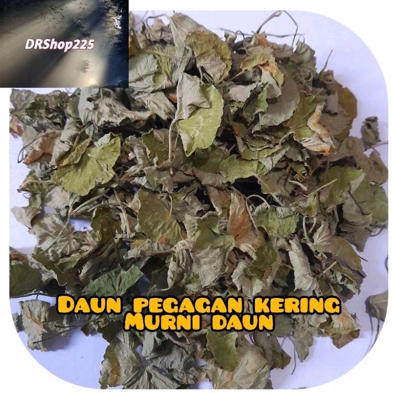 

daun pegagan 30gram daun saja sudah kering tanpa akar batang murni daun pegagan