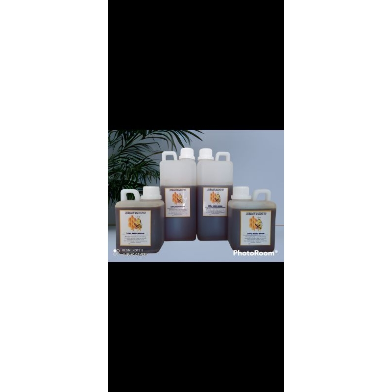 

madu dorsata ukuran 1 kg