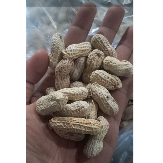 

kacang asin oven