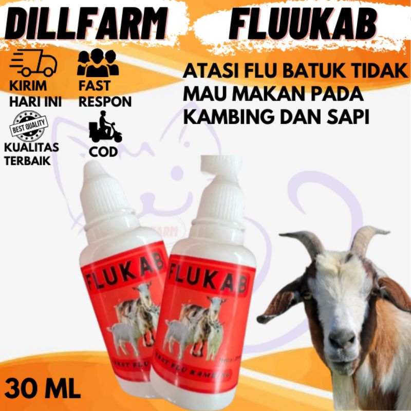 obat batuk kambing - obat pilek kambing - pneomonia ternak hewan dillfarm