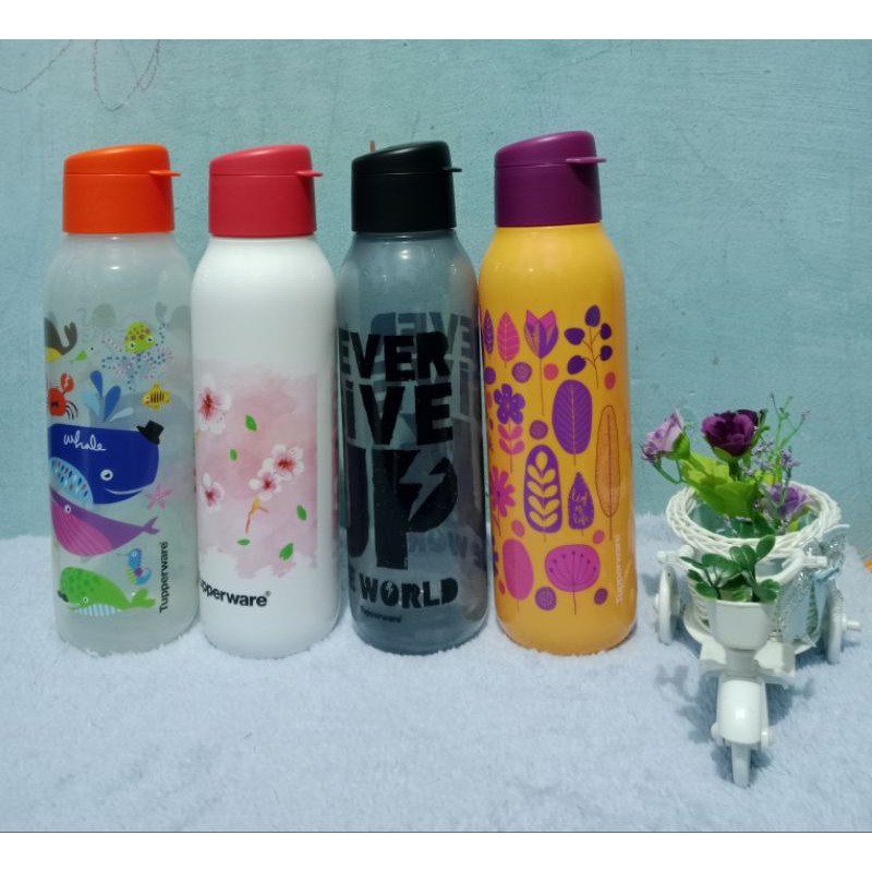 eco fancy bottle tupperware