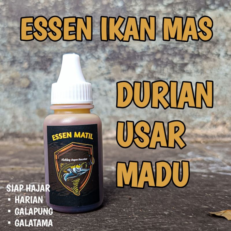 essen paling gacor essen ikan mas oplosan durian usar madu