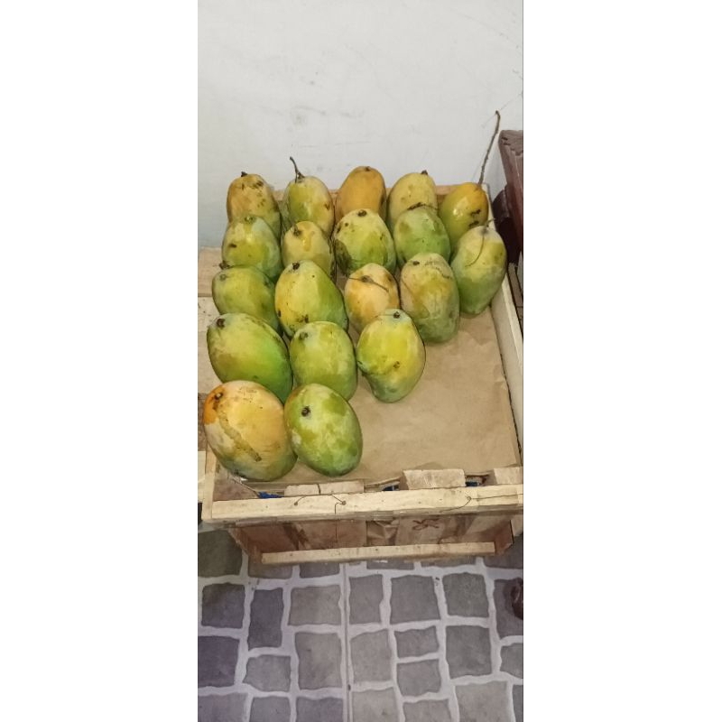 

orderan mangga pre order