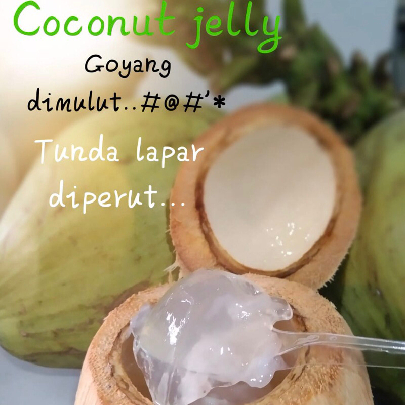 

(Maks. dikirim H+1) Coconut Jelly Original Fresh