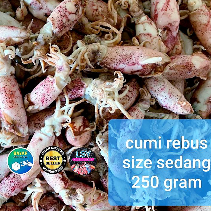 

Kirim Langsung ikan asin cumi rebus / sotong rebus size sedang 250gram Terkini