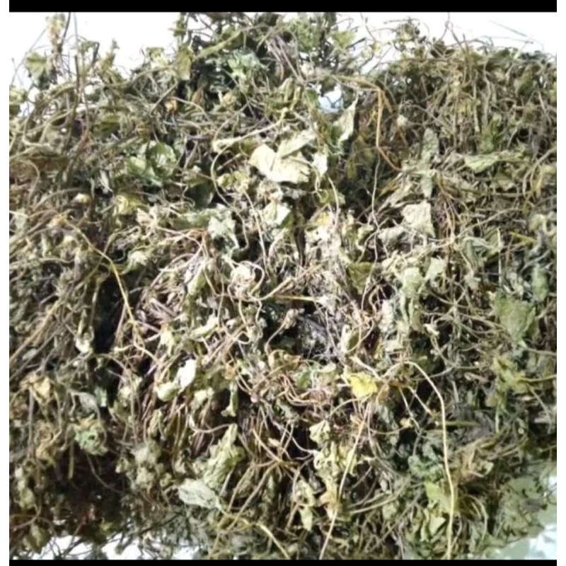 

Daun Pegagan Kering 1 kg