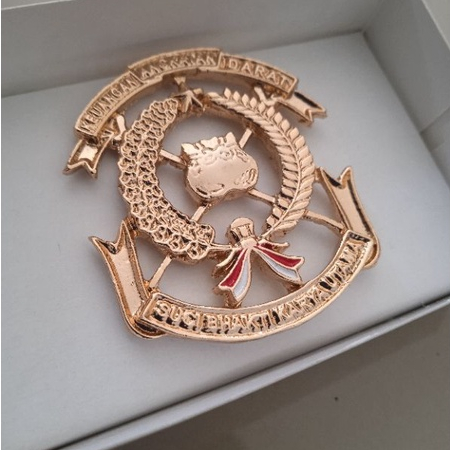 brevet wing pin lencana keuangan cku tni ad