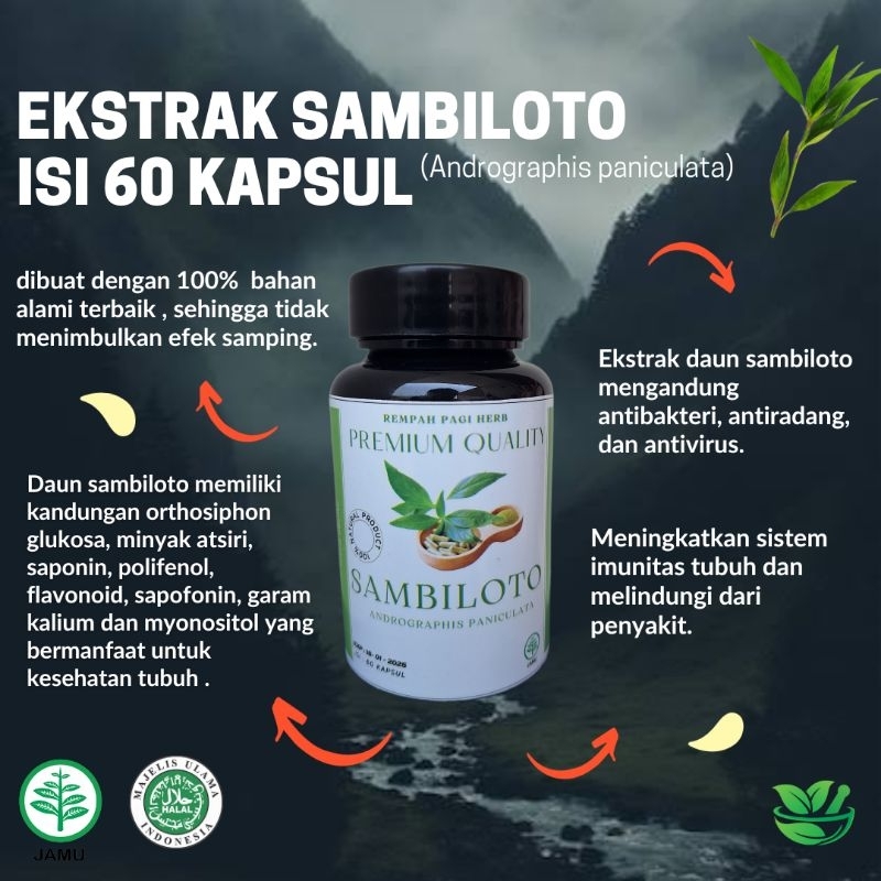 

PROMO SAMBILOTO KAPSUL PREMIUM isi 60 ampuh mengobati DIABETES ,GINJAL, KESEHATAN KULIT,COVID.