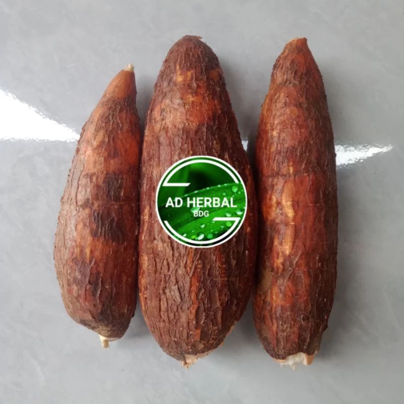 

PROMO!! Singkong Racun Sapi Kuru /Singkong Genderewo Fres 1Kg Anti