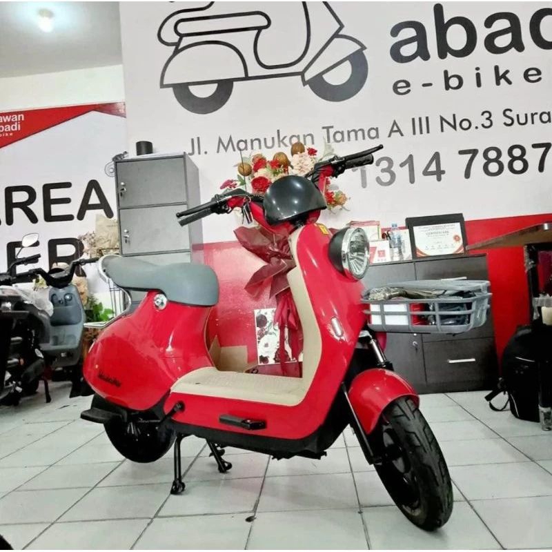 PROMO MEI SEPEDA LISTRIK U-WINFLY R8P BATERAI 48V 20AHDL DINAMO 800