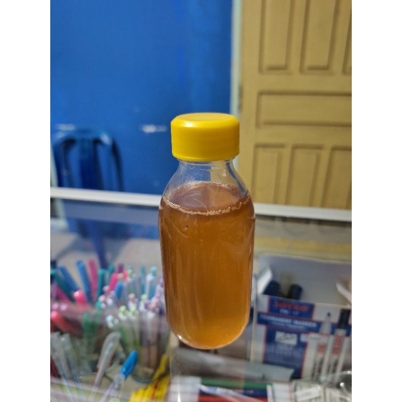 

Madu murni Madu klanceng - Madu trigona 125ml [bonus jeruk nipis selama persediaan masih ada]