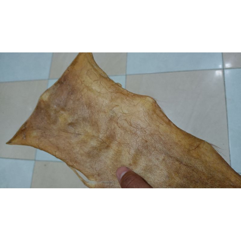 Kulit Sapi Kering Tanpa Bulu 5 cm