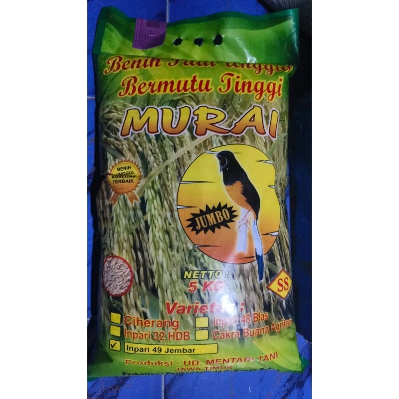 Benih Padi Inpari 49 Jembar 5 kg