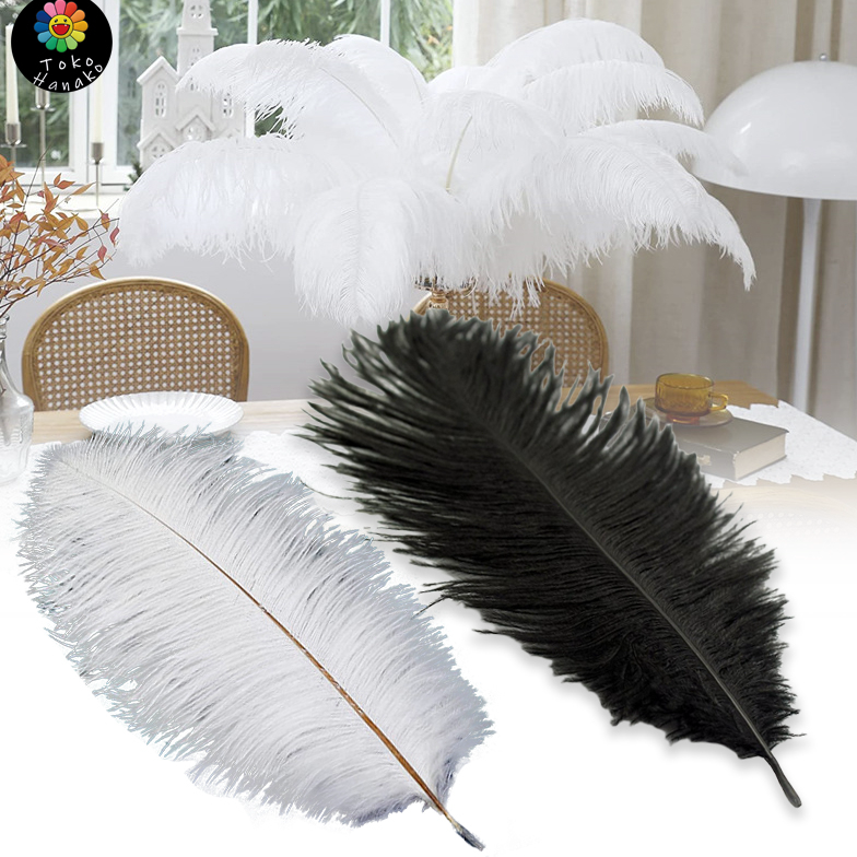 Ready 35-45cm100% bulu burung ostrich asli  Bulu Ostrich White Premium Putih/hitam 8TP