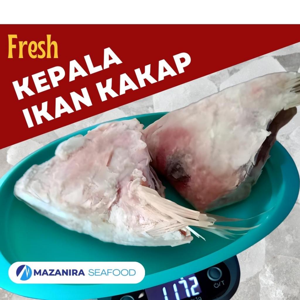 

Kepala Ikan Kakap Putih 400 Gr