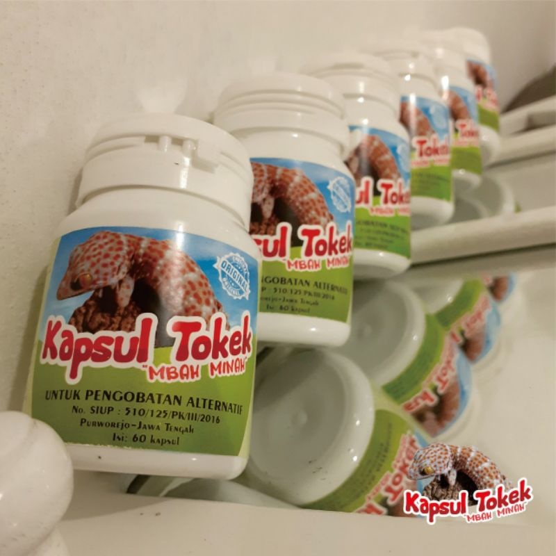 ✨TERBARU✔️Kapsul Tokek 100% Daging Tokek Asli. Kapsul Tokek Mbah Minah